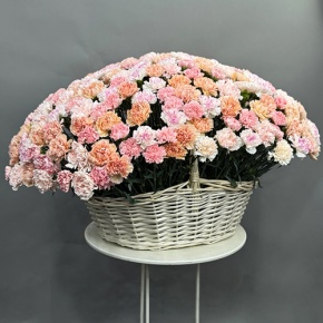 Композиция в корзине из 251 диантуса микс в Озерах