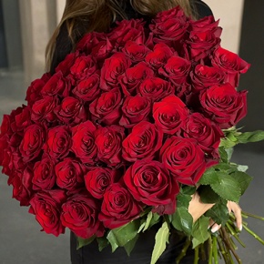 Букет 51 роза Эквадор Эксплорер (60 см) в Озерах