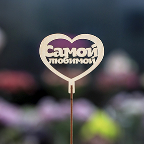 Топпер Самой Любимой в Озерах