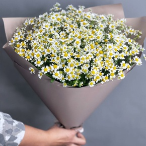 Букет из 17 ромашек танацетум в Озерах
