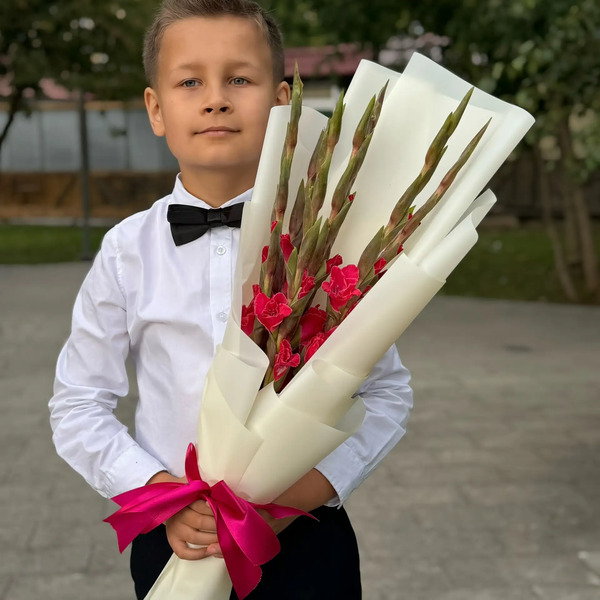 Букет на 1 сентября из 7 малиновых гладиолусов в Озерах