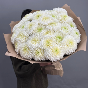 Букет из 27 хризантем Магнум в Озерах