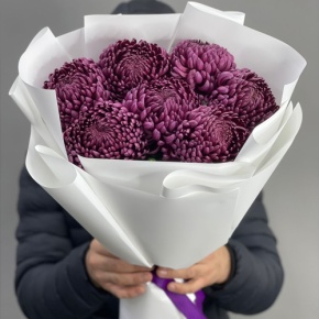 Букет "Винная легенда" из 7 хризантем Бигоуди в Озерах