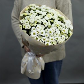 Букет "Милая моя" из 17 хризантем сантини в Озерах