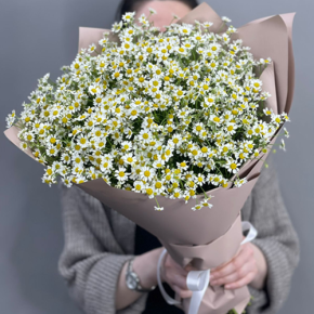 Букет из 17 полевых ромашек в Озерах