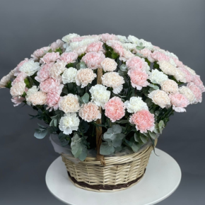 Композиция в корзине из 101 диантуса микс в Озерах