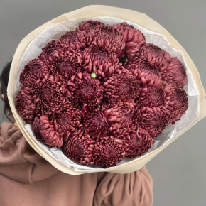 Букет 21 шоколадной хризантемы Бигоуди в Озерах