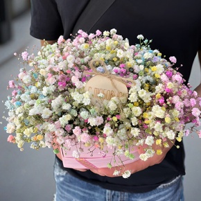 Композиция в коробке сердца из радужных гипсофил с топпером в Озерах