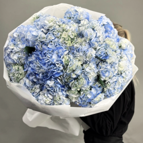 Букет из 23 синих гортензий в Озерах