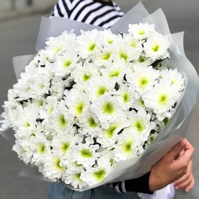 Букет "Лаймовый" из 15 кустовых хризантем в Озерах