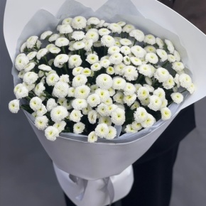 Букет "Белая дымка" из 25 хризантем сантини в Озерах