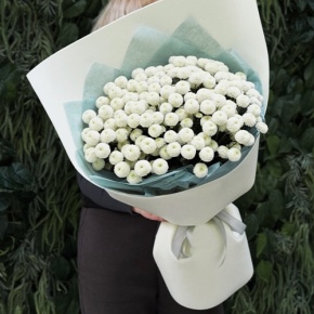 Букет из 25 хризантем Ньютон в Озерах