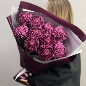 Букет "Изобилие" из 11 винных хризантем Бигоуди в Озерах