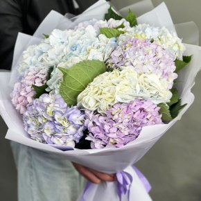 Букет из 9 Голландских гортензий микс в Озерах