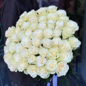 Букет из 51 розы Эквадор Мондиаль под ленту (80 см) в Озерах