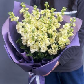 Букет из 15 лимонных маттиол в Озерах