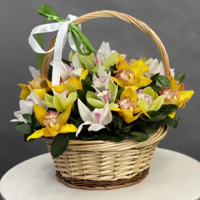 Композиция в корзине из 25 орхидей микс в Озерах