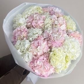 Букет из 17 нежных гортензий в Озерах