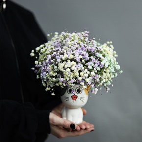 Композиция из гипсофил в керамическом кашпо в Озерах