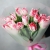 Букет "Фламинго" из 11 пионовидных тюльпанов в Озерах