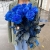 15 синих LUX роз Эквадор (70 см) в Озерах 15 синих LUX роз Эквадор (70 см) в Озерах