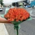 Букет из 51 мандариновой розы (40 см) в Озерах Букет из 51 мандариновой розы (40 см) в Озерах