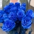 15 синих LUX роз Эквадор (70 см) в Озерах 15 синих LUX роз Эквадор (70 см) в Озерах