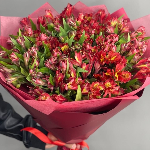 Монобукет из 25 красных альстромерий в Озерах