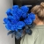 15 синих LUX роз Эквадор (70 см) в Озерах 15 синих LUX роз Эквадор (70 см) в Озерах