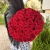 Букет 51 красной розы 50 см в Озерах Букет 51 красной розы 50 см в Озерах