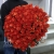 Букет 101 коралловая роза (60 см) в Озерах Букет 101 коралловая роза (60 см) в Озерах