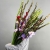 Букет из 25 гладиолусов микс в Озерах Букет из 25 гладиолусов микс в Озерах