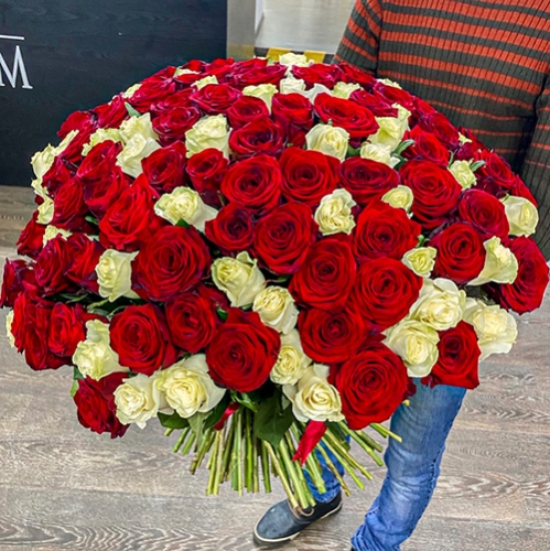 Букет 151 роза красный и белый микс (60 см) в Озерах