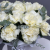 Композиция в шляпной коробке из роз Эквадор Мондиаль в Озерах Композиция в шляпной коробке из роз Эквадор Мондиаль в Озерах