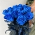 15 синих LUX роз Эквадор (70 см) в Озерах 15 синих LUX роз Эквадор (70 см) в Озерах