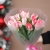Букет "Фламинго" из 11 пионовидных тюльпанов в Озерах