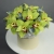 Композиция в шляпной коробке из 11 лаймовых орхидей в Озерах Композиция в шляпной коробке из 11 лаймовых орхидей в Озерах