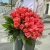 Букет 51 роза коралл (60 см) в Озерах Букет 51 роза коралл (60 см) в Озерах