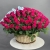 Композиция в корзине из 151 малиновой розы в Озерах Композиция в корзине из 151 малиновой розы в Озерах