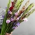 Букет из 25 гладиолусов микс в Озерах Букет из 25 гладиолусов микс в Озерах