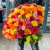 Букет 151 роза сочный микс (50 см) в Озерах Букет 151 роза сочный микс (50 см) в Озерах